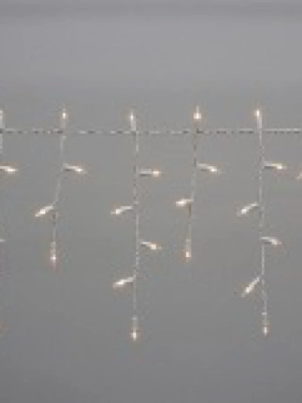 LED Icicle Curtain Lights - Warm White Holiday Decor*